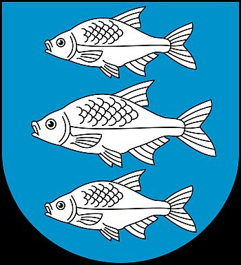 Pozycjonowanie stron Gi�ycko