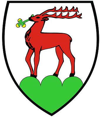 Pozycjonowanie stron Jelenia G�ra